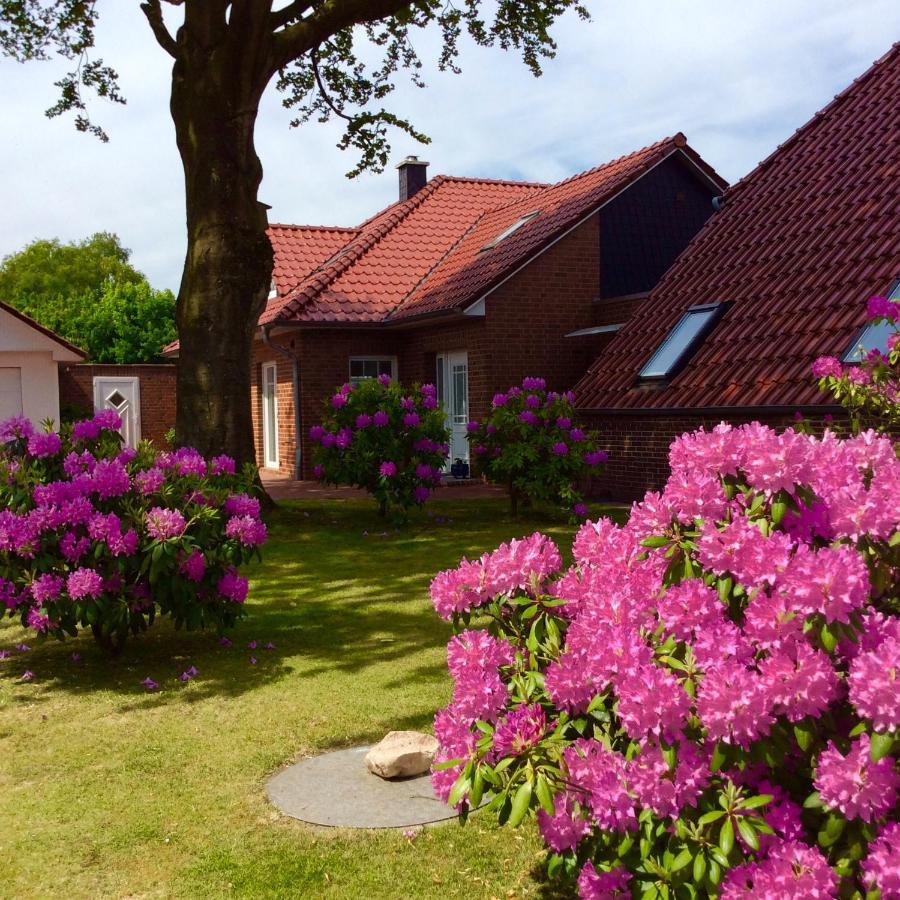 Ferienwohnung Albers Blomberg  Exteriör bild